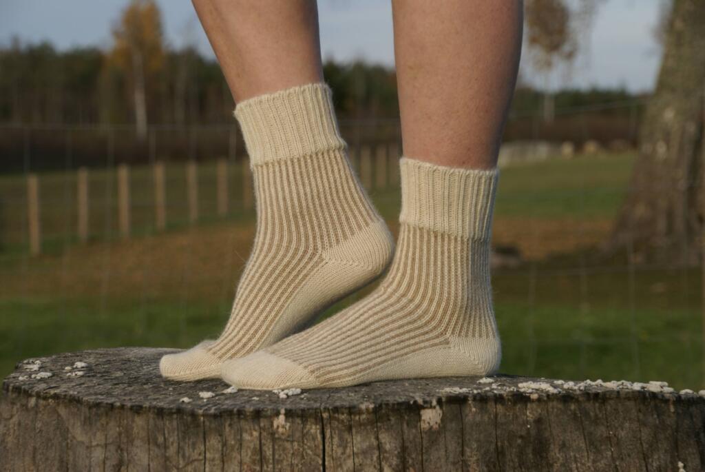 alpakavillased sokid wile alpakafarm