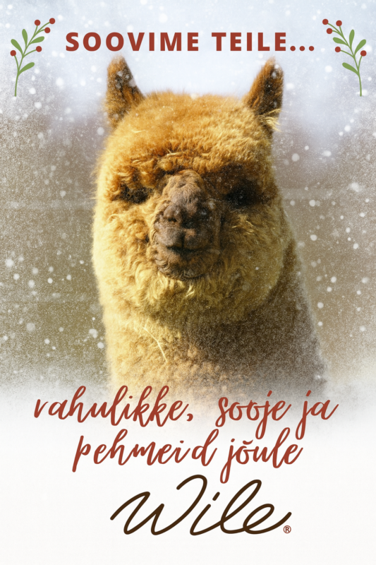 Jõulusoov 2025 Wile Alpakafarm