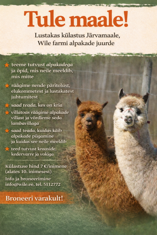 Lustakas oppekaik 2026