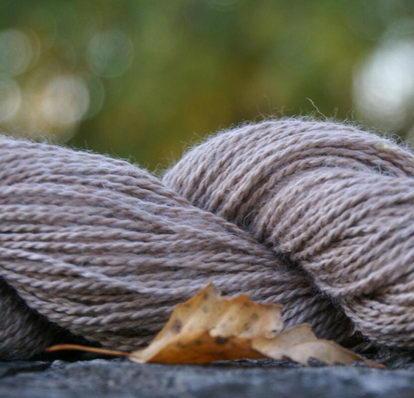 Wile lõng 2x beez 1 Wile lõng 2x beez