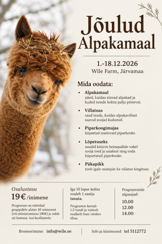 Joulud Alpakamaal AI flaier 2026
